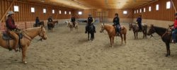 Equestrian Skills Clinic